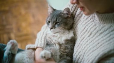A woman petting her cute gray fluffy cat while holding him in her arms.