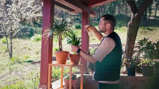 Un hombre barbudo atractivo cuidando plantas en maceta en la terraza — Vídeo de stock