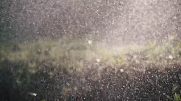 Невеликі бризки від дощу або поливу на тлі сонця — стокове відео