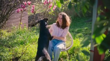 Genç ve güzel bir kadın bir kır evinin arka bahçesinde sandalyede otururken sevimli köpeğiyle oynuyor..