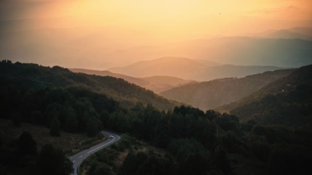 秋の日没時に森の中の山道の空中ビュー 丘の道 松の木 緑の牧草地 秋の黄金の太陽の光と美しい風景 — ストック動画