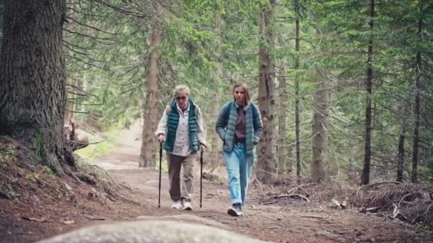 Een Oudere Vrouw Haar Volwassen Dochter Wandelen Het Bos Langs — Stockvideo