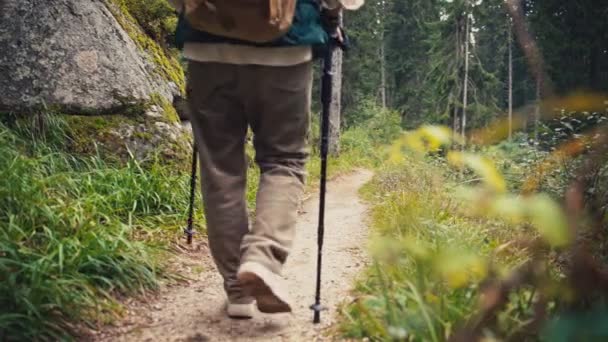 Una Mujer Mayor Caucásica Mochilera Con Bastones Nórdicos Caminando Bosque — Vídeos de Stock