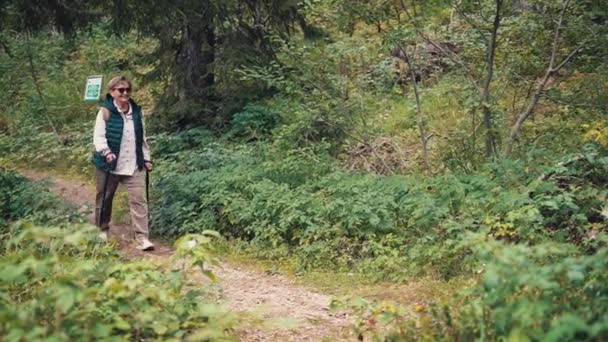 Uma Mulher Caucasiana Sênior Mochileiro Com Pólos Caminhada Nórdicos Caminhando — Vídeo de Stock