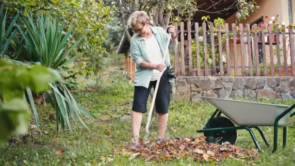 Starší Běloška Pracuje Zahradě Důchodce Hrabající Spadlé Listí Kovovým Vějířem — Stock video