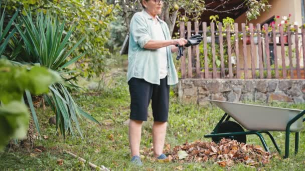 Senior Caucasian Woman Working Garden Pensioner Collecting Fallen Leaves Wheelbarrow — Stock Video