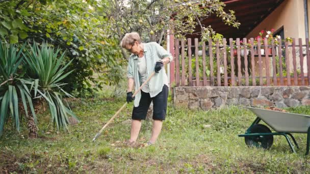 Starsza Biała Kobieta Pracuje Ogrodzie Emeryt Grabiący Spadające Liście Metalową — Wideo stockowe