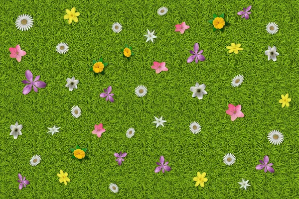 Illustration Frühlingssommer Blumen Blühen Auf Grünem Gras Grasfeld Hintergrund Mit — Stockfoto