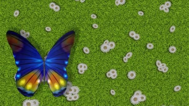 Vídeos Ilustración Mariposa Colorida Vuela Con Alas Abiertas Sobre Fondo — Vídeo de stock