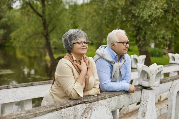 Feliz pareja de ancianos de pie en el puente disfrutar del buen tiempo y el paisaje del parque — Foto de Stock