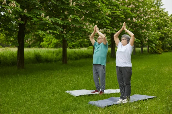 Senioren-Familienpaar macht an Sommertagen Yoga-Übungen im Park. — Stockfoto