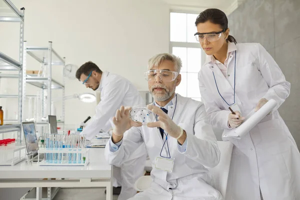 Две учёные мужского и женского пола анализируют образцы, работающие с химикатами в лаборатории. — стоковое фото