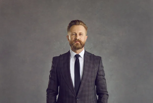 Studio portrait of a handsome business professional in an elegant suit and necktie — Stock Photo, Image