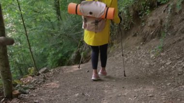 Bayan turist ormanda sırt çantasıyla geziyor.