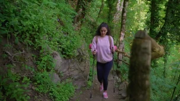 Піший турист піднімається стежкою в гірському лісі — стокове відео