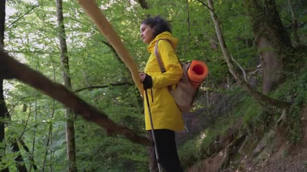 3.徒步旅行的妇女在森林里休息，背着背包的妇女在欣赏大自然 — 图库视频影像