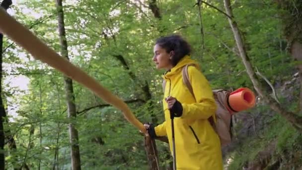 Caminhante feminina em uma viagem de caminhada na floresta — Vídeo de Stock