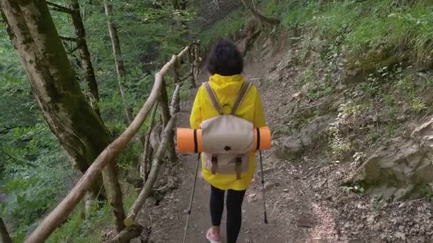 Жінка подорожує природою. Походи в ліс — стокове відео