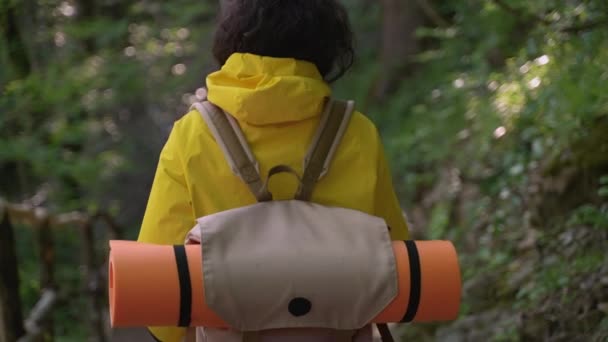Pěší turistika a expedice v lesích, žena nese batoh a chůzi — Stock video