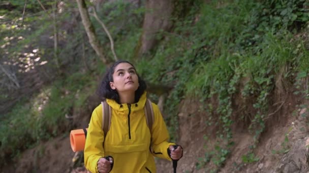 Любитель природи пішохідний на самоті в лісі — стокове відео