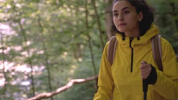 숲 속을 걷고 있는 여자 여행자 — 비디오