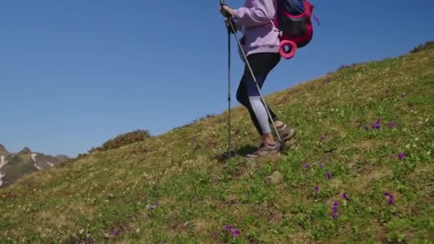 Vrouw backpacker verkennen bergen alleen — Stockvideo