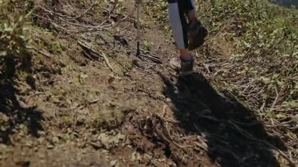 Жінка рюкзак з пішохідними полюсами робить свій шлях до вершини пагорба — стокове відео