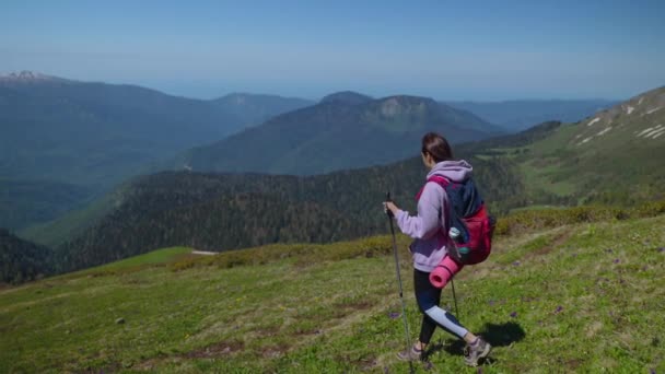 山でのハイキングのバックパックを持つ女性旅行者 — ストック動画