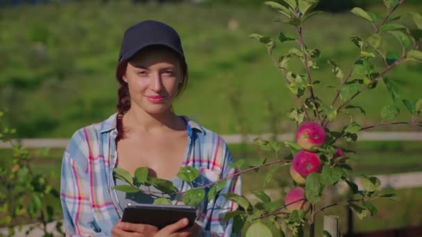 Portrait of young woman in orchard in summer day, ecological farming — Wideo stockowe