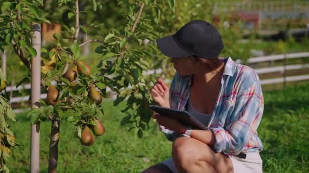 Student botanist on organic farm in summer, woman visitor of agriculture area — Videoclip de stoc