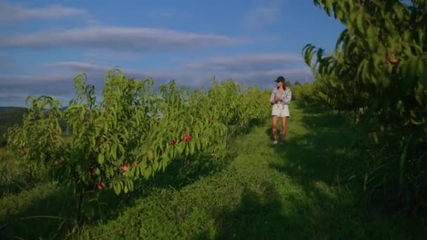 Agronomist student is viewing fruit garden in organic farm — Stock video