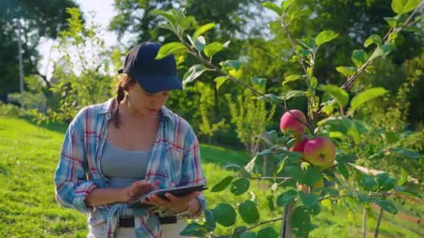 Female farmer monitoring fruit trees in the orchard — Video Stock