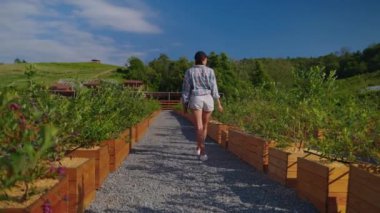 Woman farmer inspecting farmland with planted blueberries