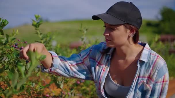 Young woman is viewing shrub with berry and looking for information in internet — Vídeo de Stock