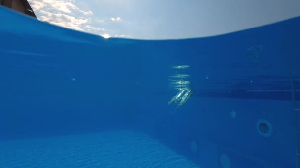 Chica nadando en la piscina del hotel — Vídeos de Stock