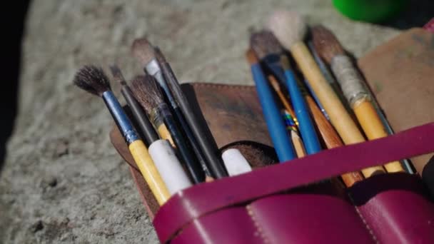 Pinceles profesionales de la pintura del artista, primer plano, herramientas de dibujo para hobby — Vídeos de Stock