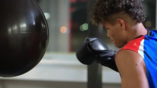 Агресивний Спорт Чоловіків Бокс Бійки Молодий Чорний Чоловік Ударяє Мішок — стокове відео