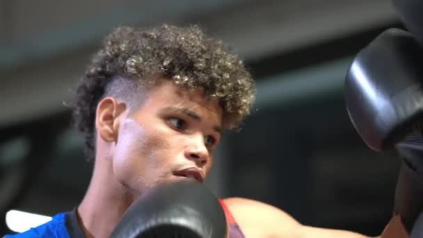 Boxningsträning Gym Ung Svart Prizefighter Slagsäck Träningsrummet Närbild Porträtt Afro — Stockvideo