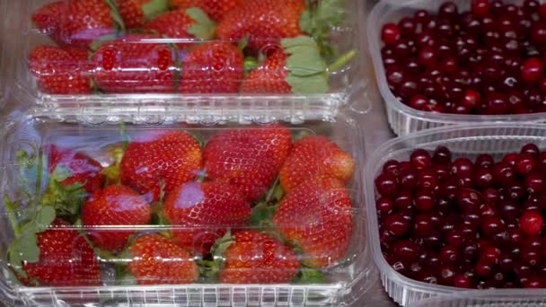 Preiselbeere Und Erdbeere Der Vitrine Des Supermarktes Frisches Obst Und — Stockvideo
