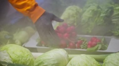 Buzdolabından soğuk buharla kaplanmış turpları alan eldivenli bir erkeğin yakın plan fotoğrafı. Süpermarketten ya da marketten alışveriş