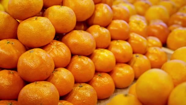Close Shot Big Piles Tangerines Displayed Counter Market Grocery Different — Stock Video
