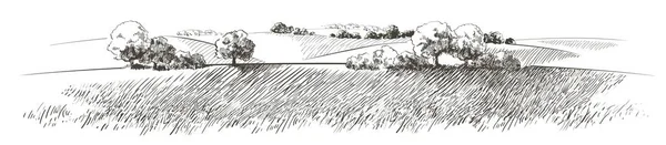 Векторный набросок зеленого травяного поля на небольших холмах. Луг, щелочь, щелочь, луга, Поммель, Ли, пастбище, ферма. Пейзаж сельских пейзажей пейзажа сельских пастбищ. иллюстрация — стоковый вектор