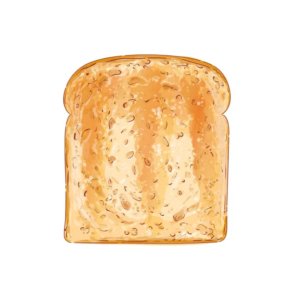 벡터 스 크리 드 빵 토스트. 통밀 빵 한 조각이요. 베이커리, 구운 크루통 조각 샌드위치 스낵이야. 현실적 인 삽화 이미지. — 스톡 벡터
