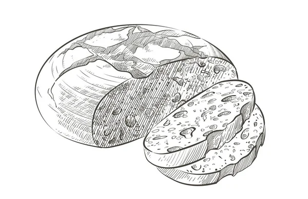Bir somun ekmek. Çavdar ekmeği ya da tam tahıllı ekmek. Logo, simge. Eskiz gerçekçi çizgi klasik çizimi