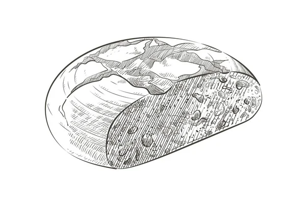 Bir somun ekmek. Çavdar ekmeği ya da tam tahıllı ekmek. Logo, simge. Eskiz gerçekçi çizgi klasik çizimi — Stok Vektör