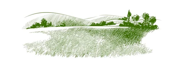 小山上的绿草场 麻风病 乡土风景 乡村牧场全景 矢量草图说明 — 图库矢量图片