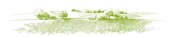 Grönt Gräs Fält Små Kullar Äng Alkali Lut Gräsmark Pommel — Stock vektor