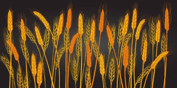 小麦の耳 農場だ 大麦のシリアル収穫 スパイク トウモロコシ 有機農業 健康食品のシンボル パン屋のデザイン要素 手描きリアルなベクトルイラスト — ストックベクタ