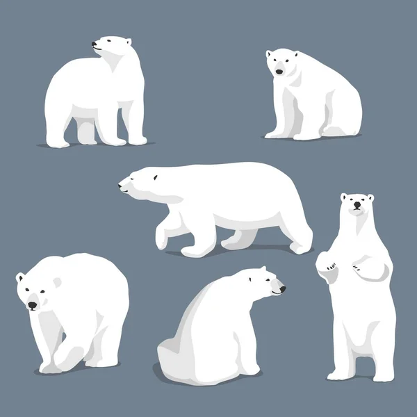 Polar bear fashion art collection — Stock Vector