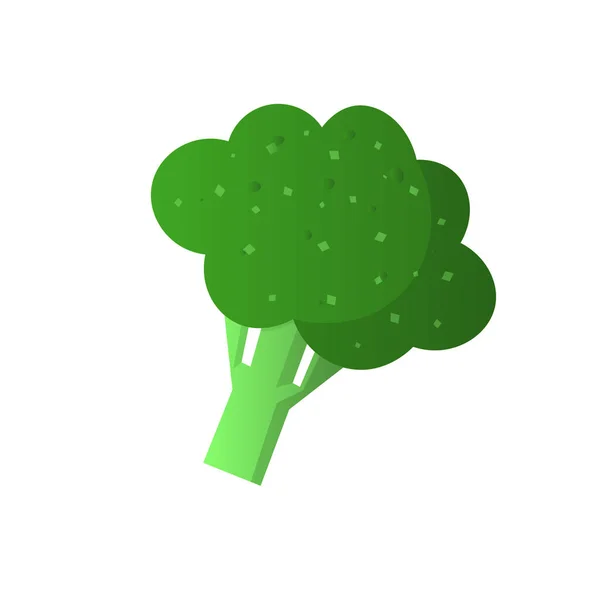 Broccoli Vegetable Fresh Farm Healthy Food Broccoli Flat Icon Vector — Vector de stock